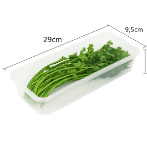 Transparent Refrigerator Storage Box – Slim Fresh Crisper for Scallions, Cilantro & Herbs 29cm
